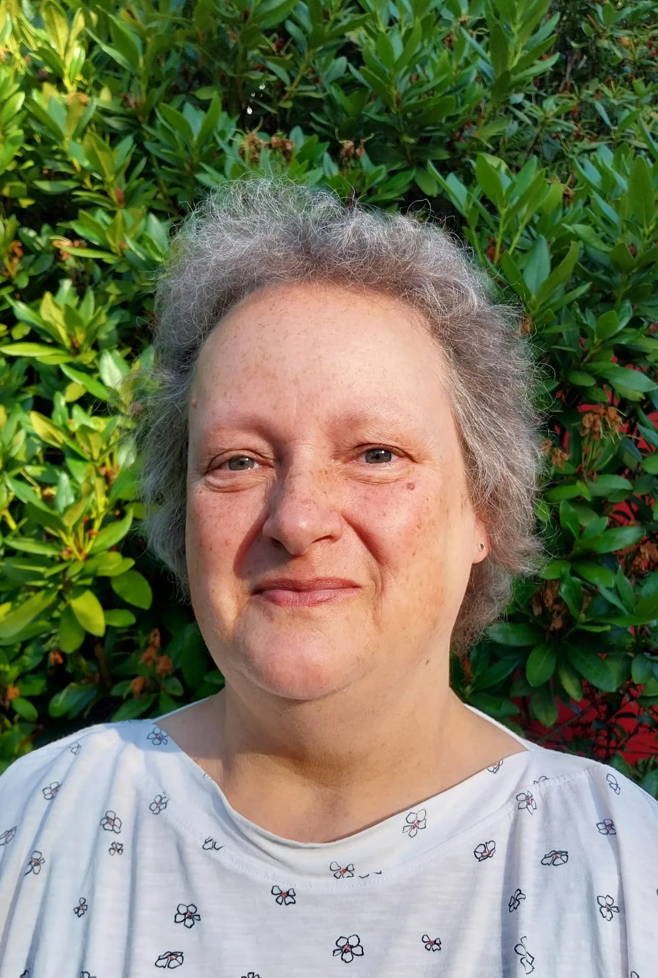Birgit Reichenau
